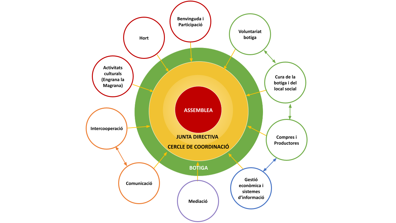 Organigrama LMV